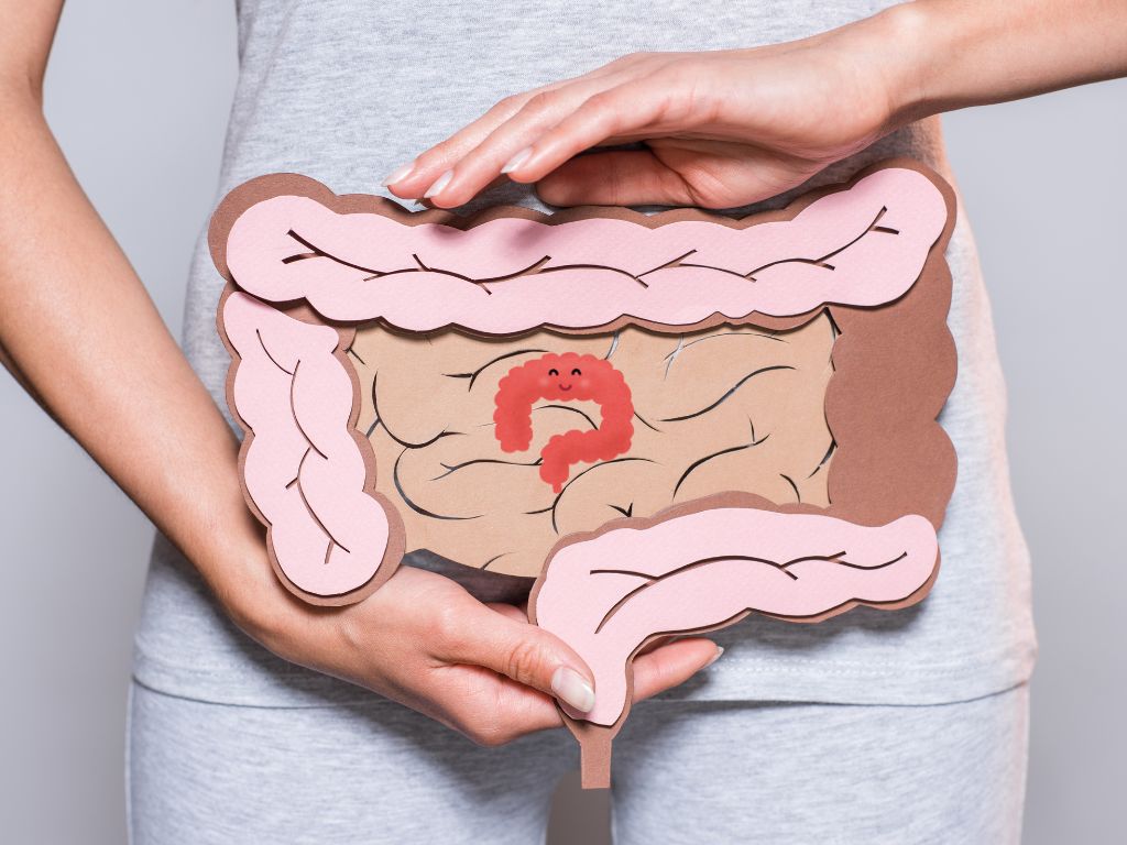 便秘のメカニズムと腸内環境