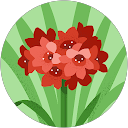 am profile picture