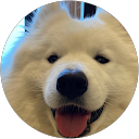saka profile picture