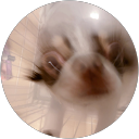 ずーみん profile picture
