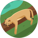 ねこちゃん profile picture
