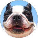 libero F. profile picture