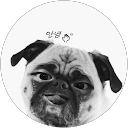 Miho S. profile picture