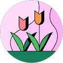 いか profile picture