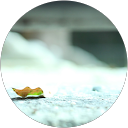 m h profile picture