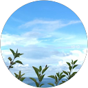 らるろ profile picture